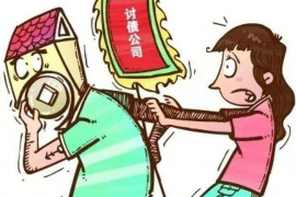 康平遇到恶意拖欠？专业追讨公司帮您解决烦恼