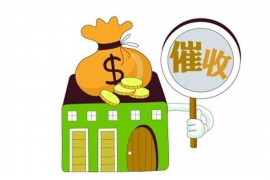 康平为什么选择专业追讨公司来处理您的债务纠纷？