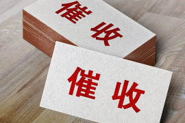 康平对付老赖：刘小姐被老赖拖欠货款